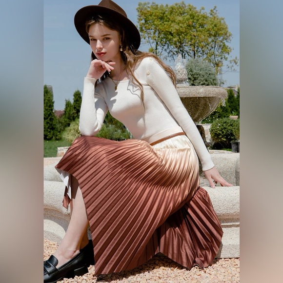 Petite Studio Calla Pleated Skirt in Rust, size XXS - Picture 4 of 16